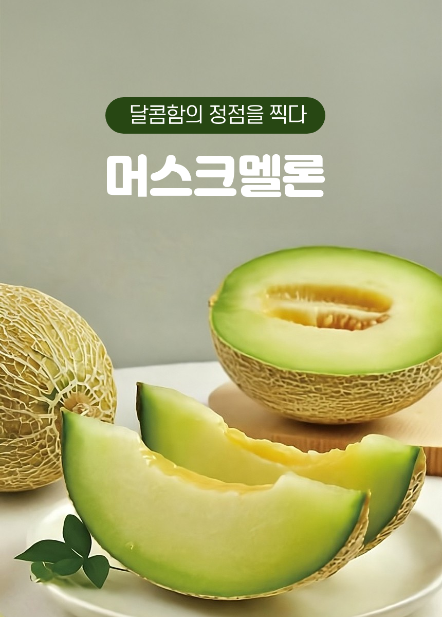 머스크멜론_상세_01.png