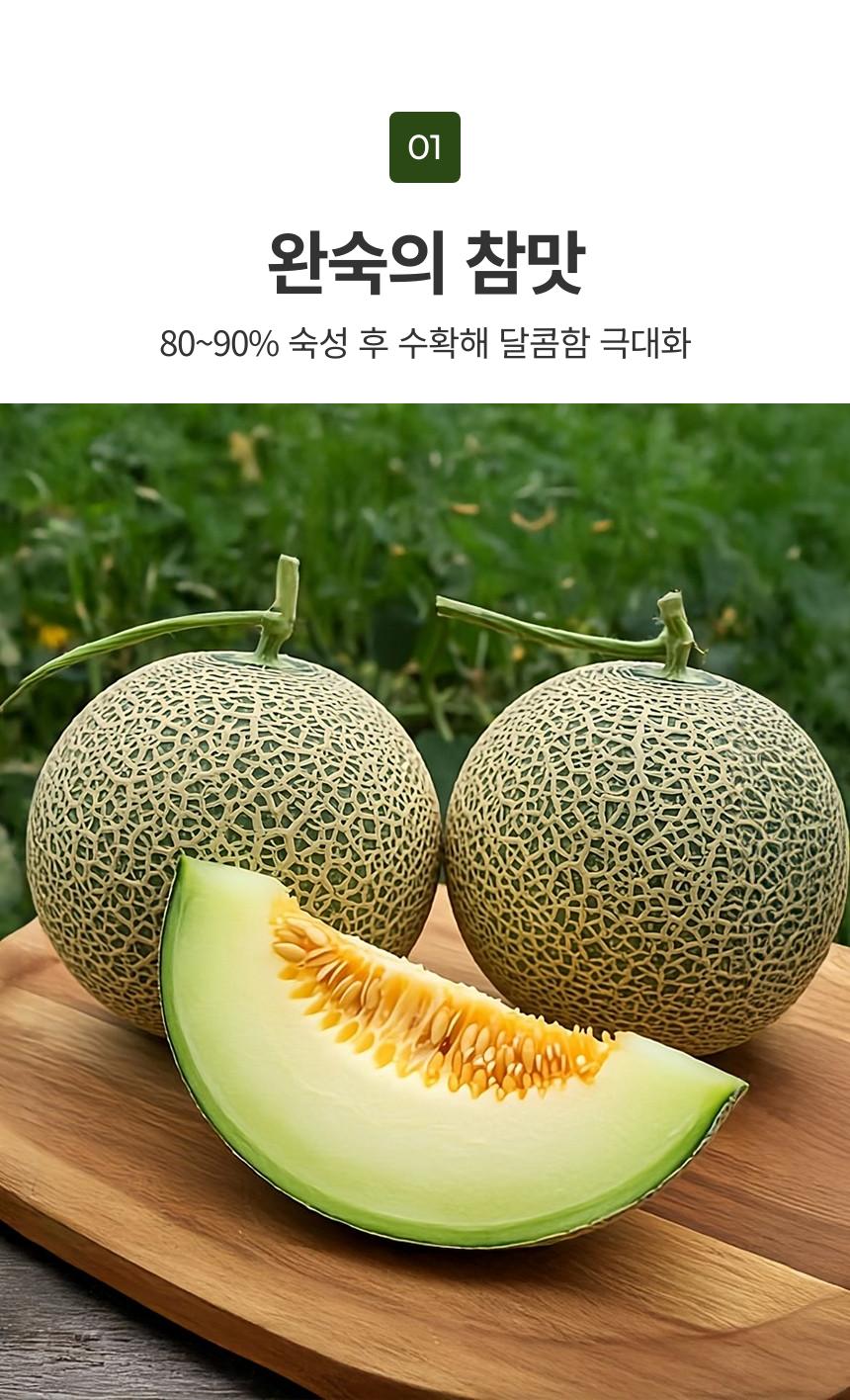 머스크멜론_상세_07.png