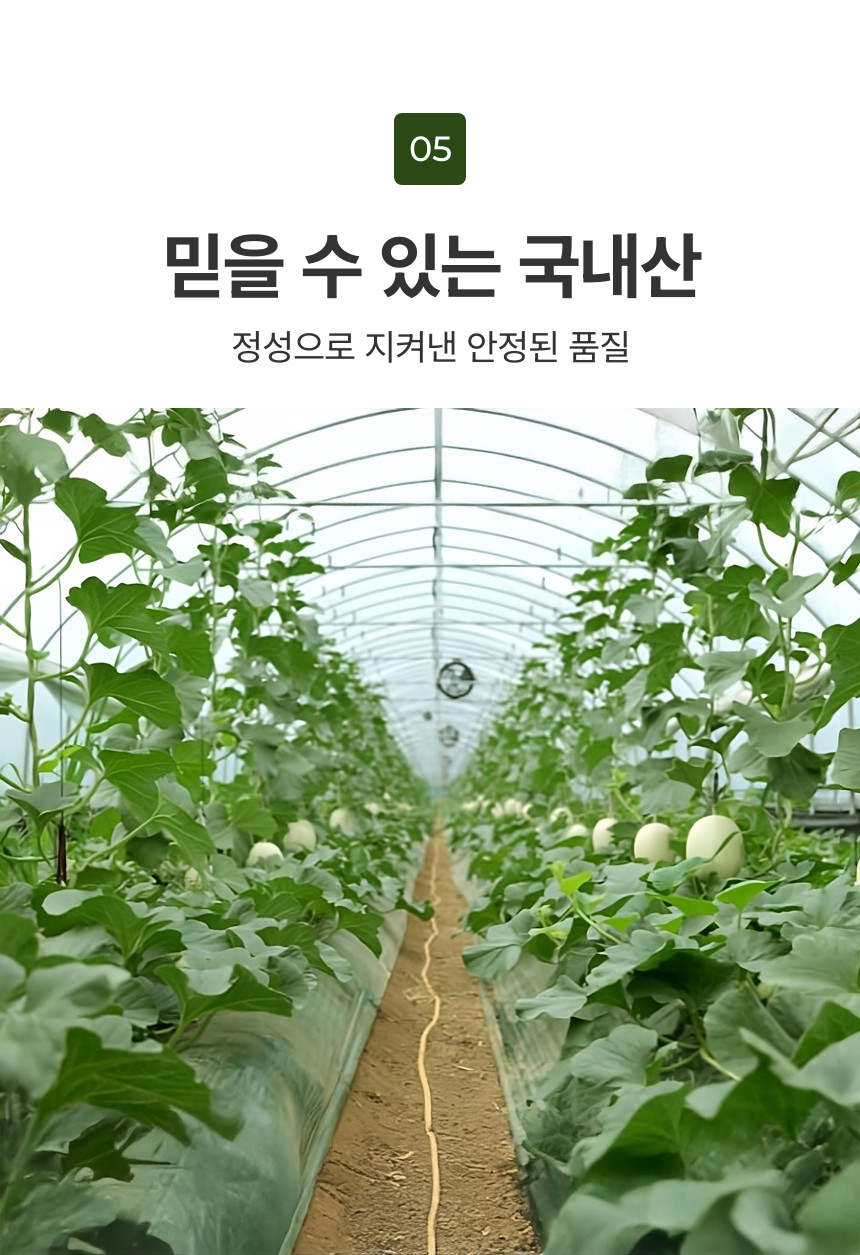 머스크멜론_상세_11.png