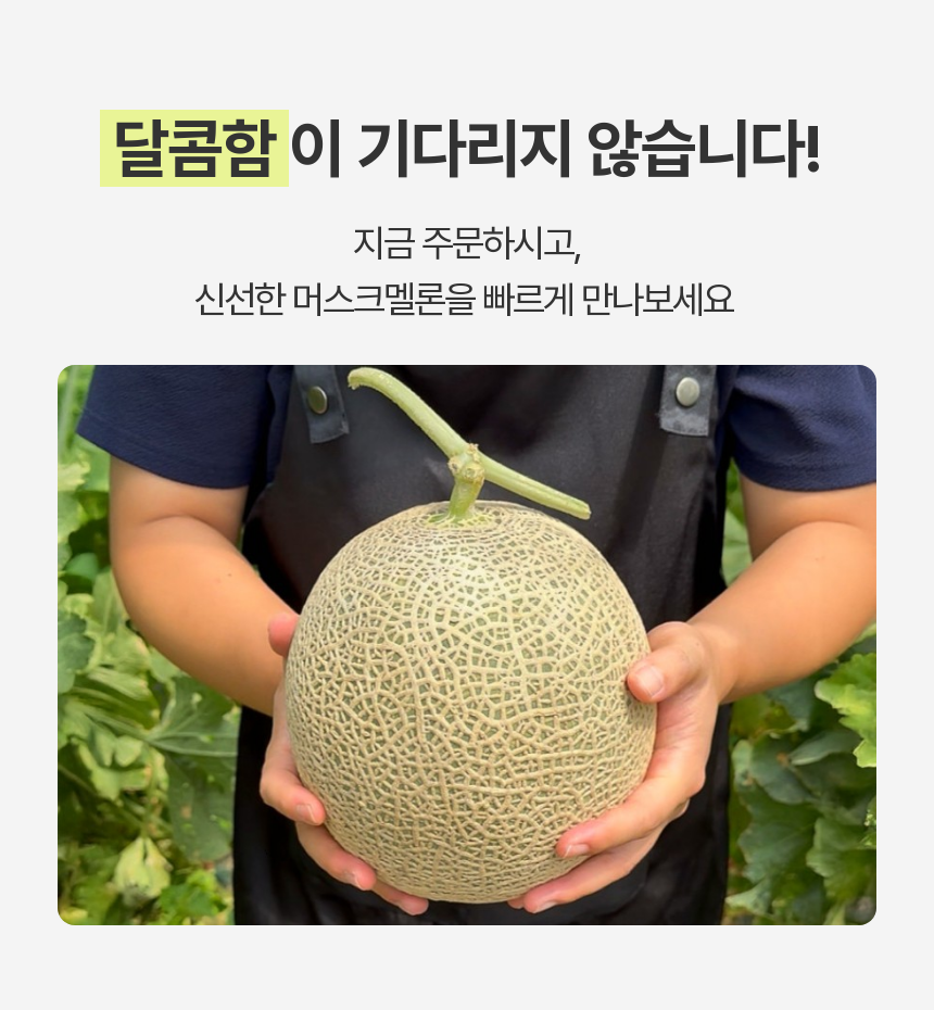 머스크멜론_상세_12.png